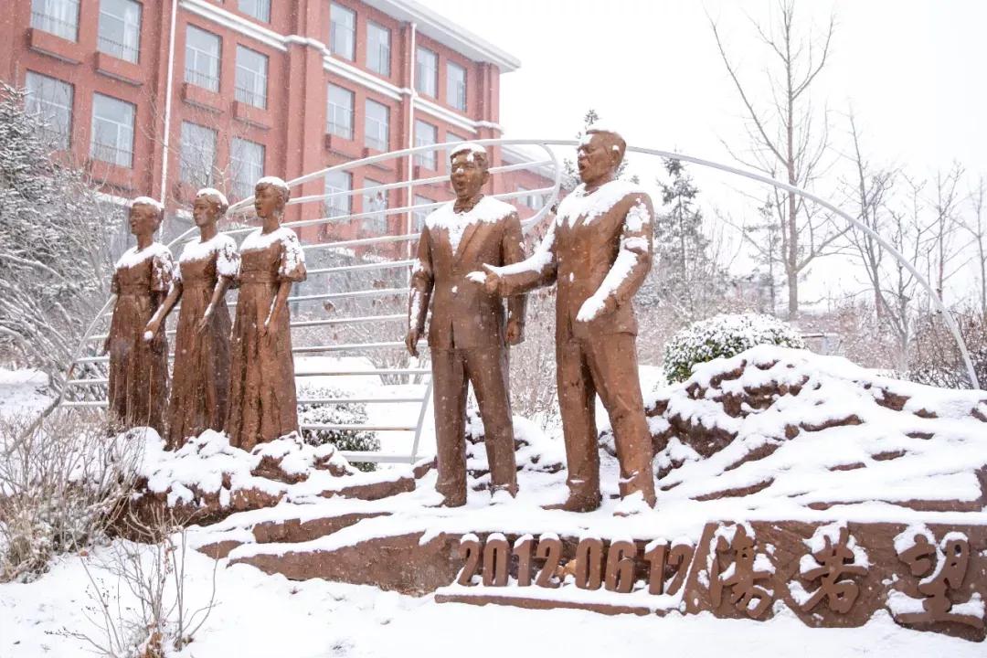 民办学校大连艺术学院全国排名,大连艺术学院辽宁排名