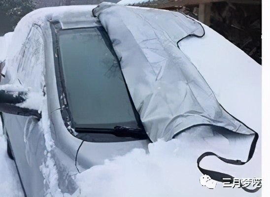 如果你2021年做Amazon，为什么不选择这么好的类目呢？