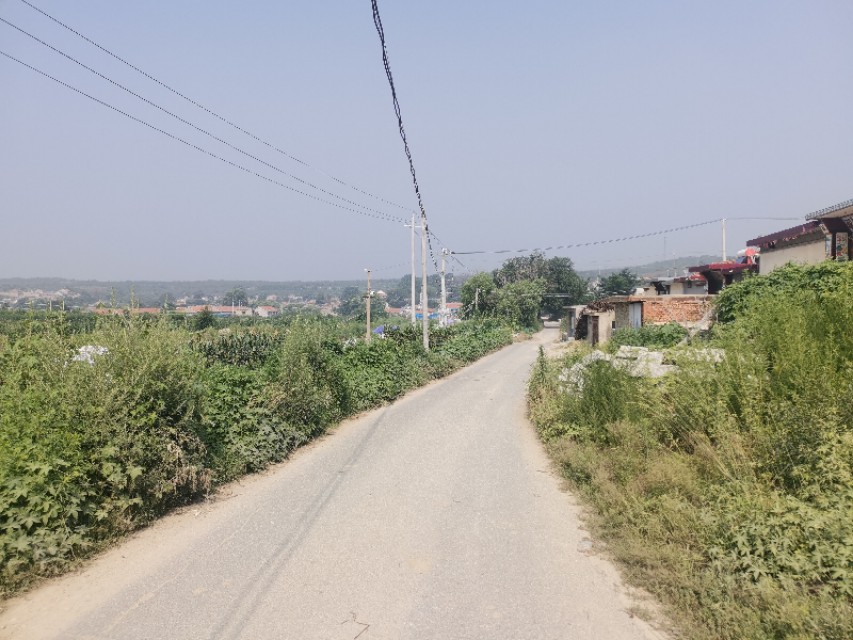 栖霞山风景区面临的问题,栖霞山怎么样了