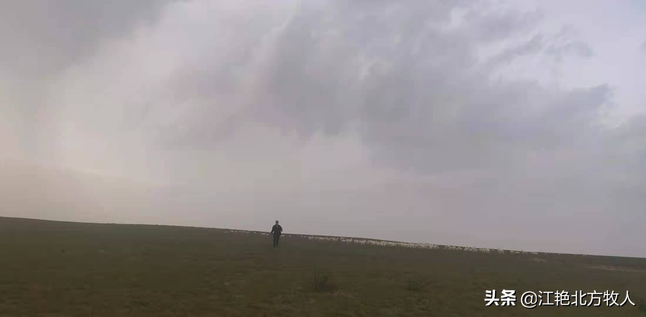 靠养殖到底能不能致富?江艳实话实说,再听听她的致富经