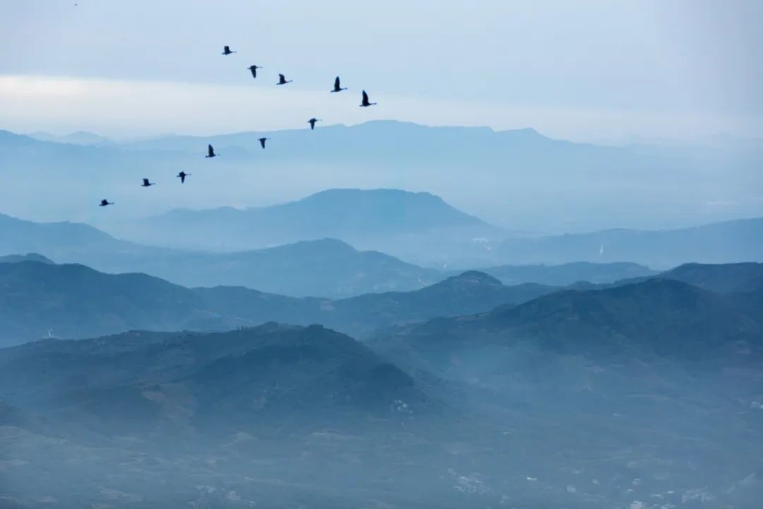 春天登山正确打开方式！这些藏在深处的秘境、美宿、茗茶在等着你！