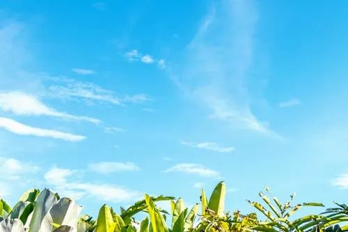 曼婷现在在哪里,曼婷最新视频