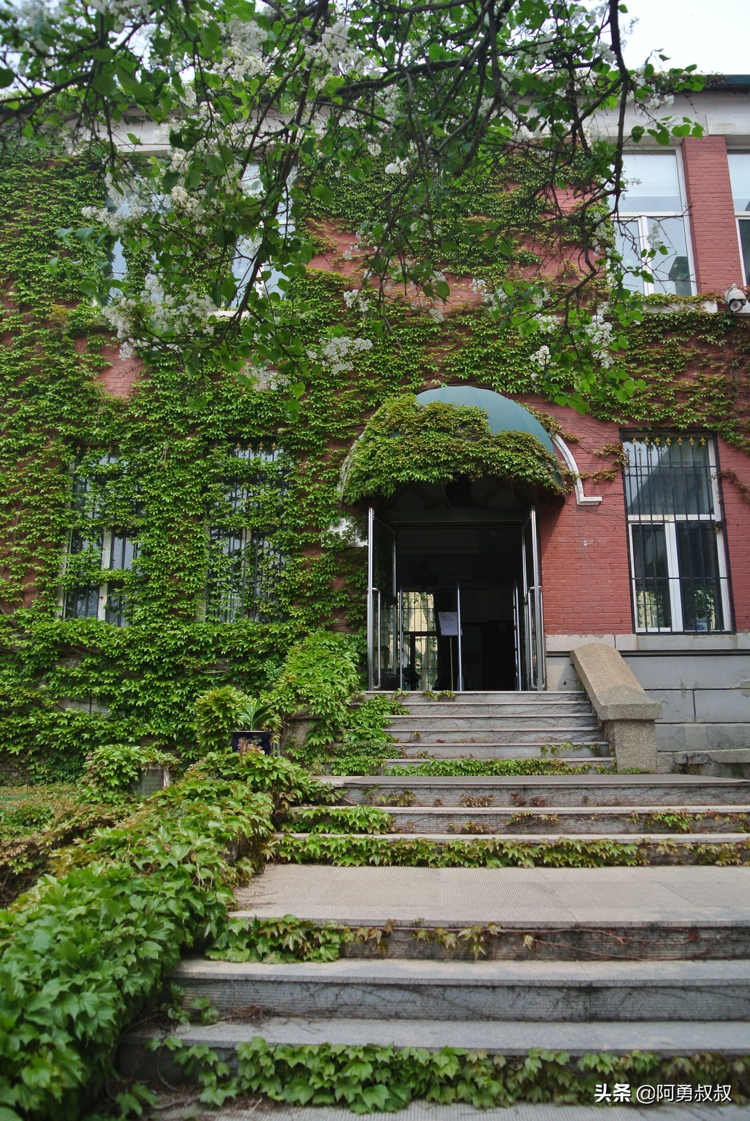 大连全国百强国际学校,大连第二十四中学全国排名