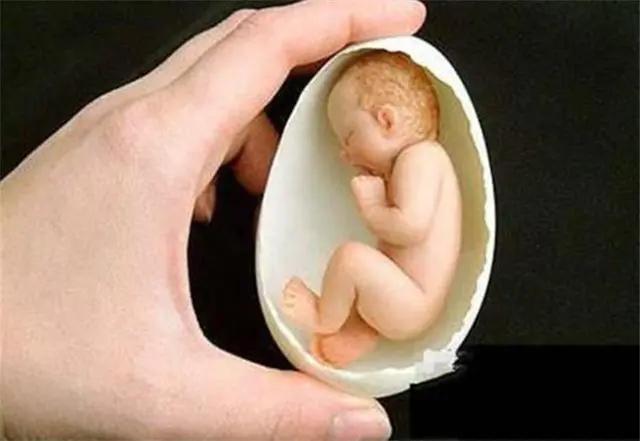 胎宝宝都自带“蛋壳”，没想到刚出生就消失了，医生却说在那儿