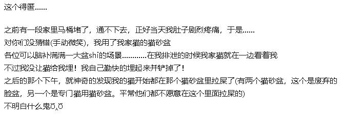 拉屎这么臭，姿势还这么骚，这些猫还真是猫界艾丽