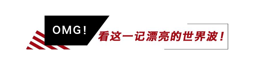 mg世界观完整视频,mg进化史完整版过程
