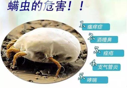 螨虫感染皮肤的症状用什么药,螨虫的最佳防治方法