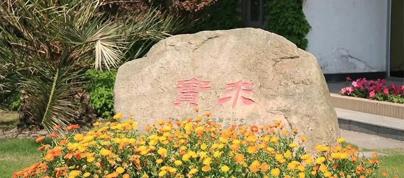 上海七宝中学,上海七宝中学内高班