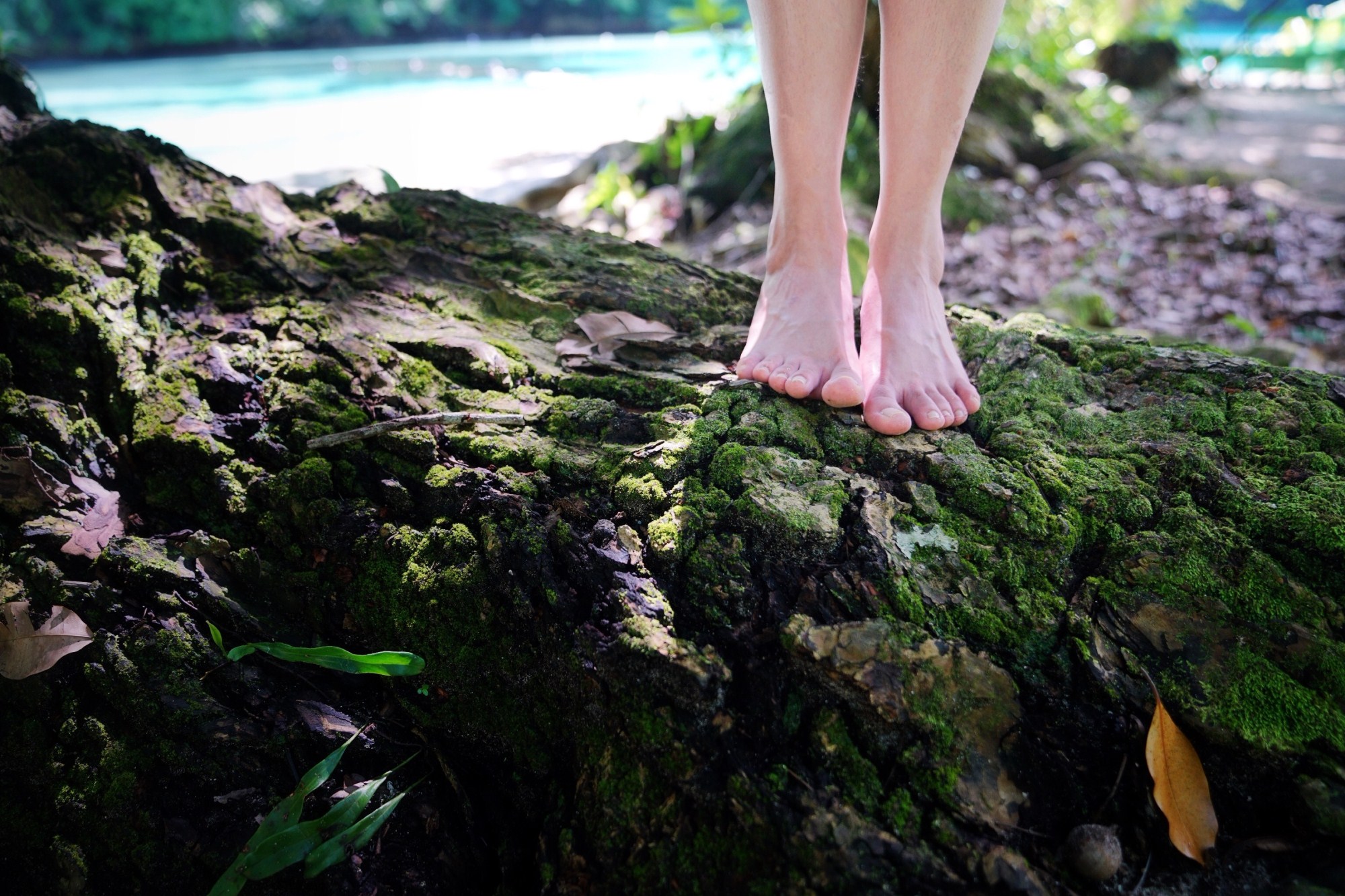 一定是特别的缘分——帕劳,再遇见「周若雪Patty」·上
