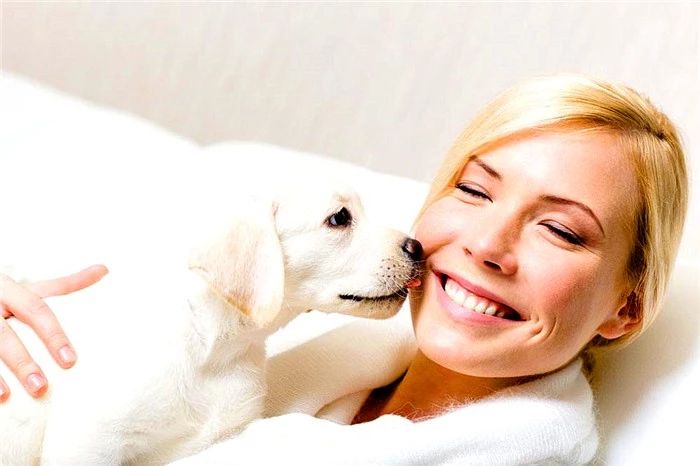 狗狗亲主人脸是什么意思,爱犬和狗接吻的危害