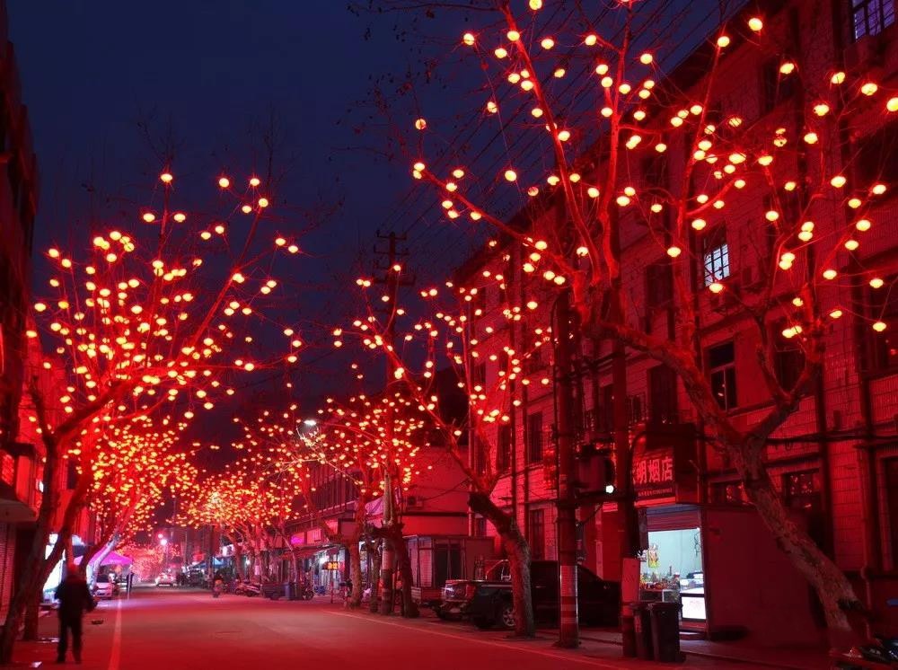 台州踏春好去处,最是一年春好处朗诵