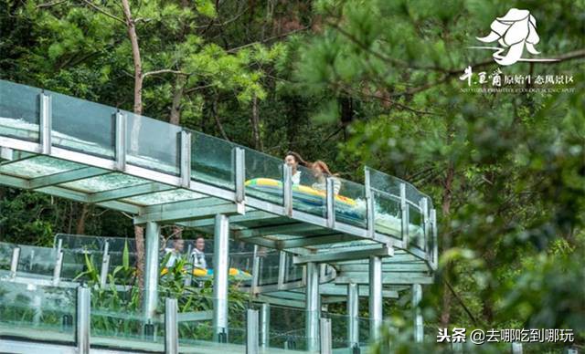 牛鱼嘴空中漂流丛林穿越,牛鱼嘴双龙玻璃空中漂流团购
