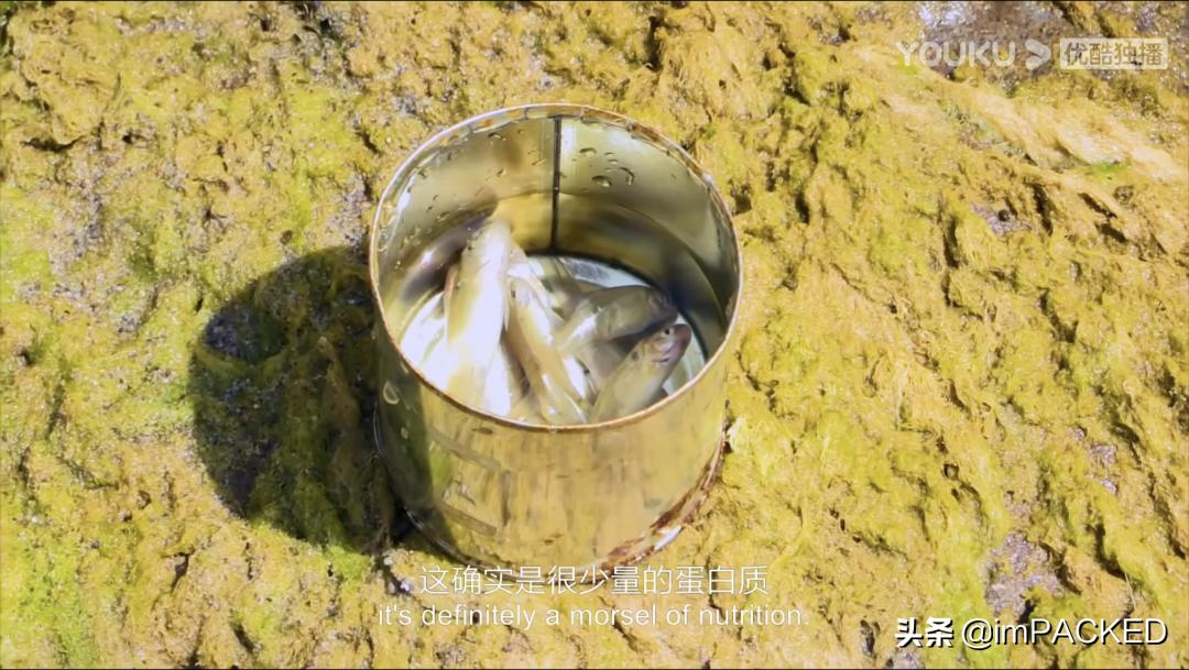 RobGreenfield的#不花钱旅行#玄学