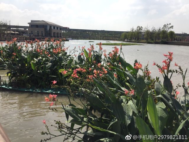 上海浦江附近好玩的地方,上海浦江镇最繁华的地方