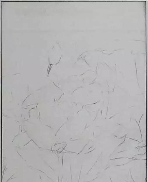 画荷塘与荷花,画一张美丽的荷塘画