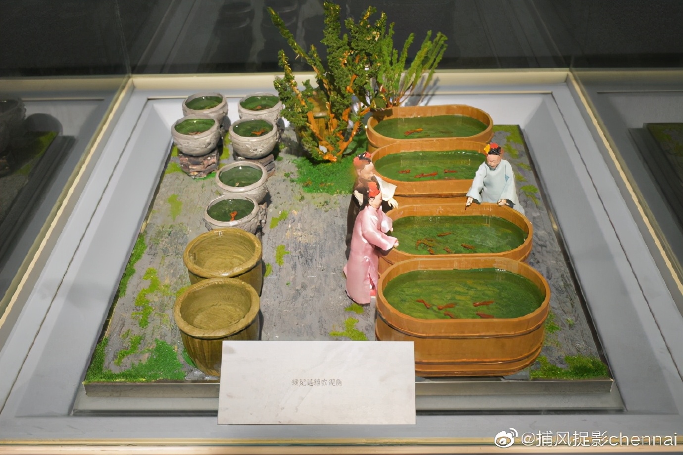 金鱼展和金鱼题材*物文**展