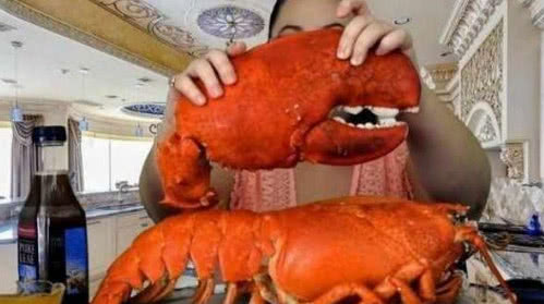 最傻主播,最傻主播帝王蟹