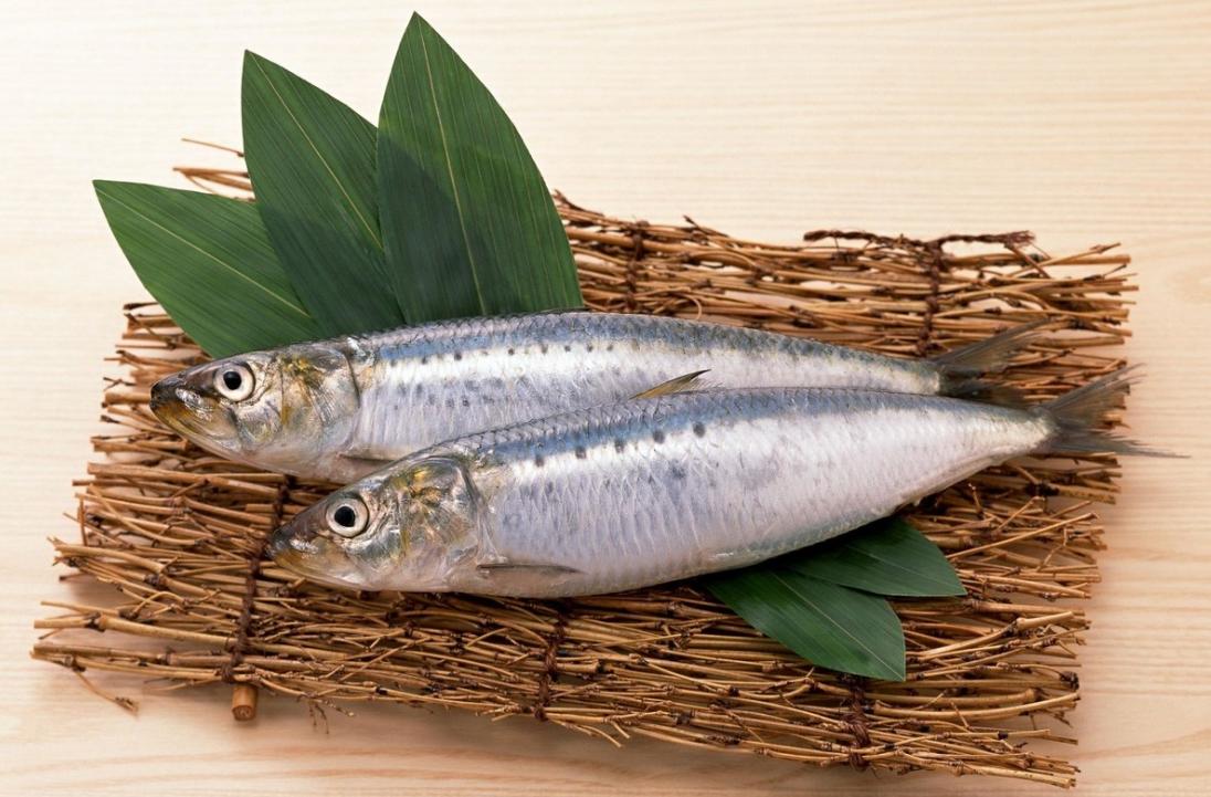 不适合给宝宝吃的深海鱼,适合给宝宝吃的深海鱼有哪些