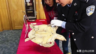 对腐败零容忍原声,对反腐零容忍