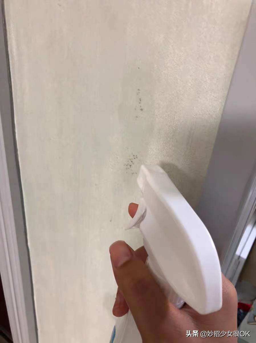 墙纸发霉怎么办5个方法来处理,墙纸发霉彻底解决方法