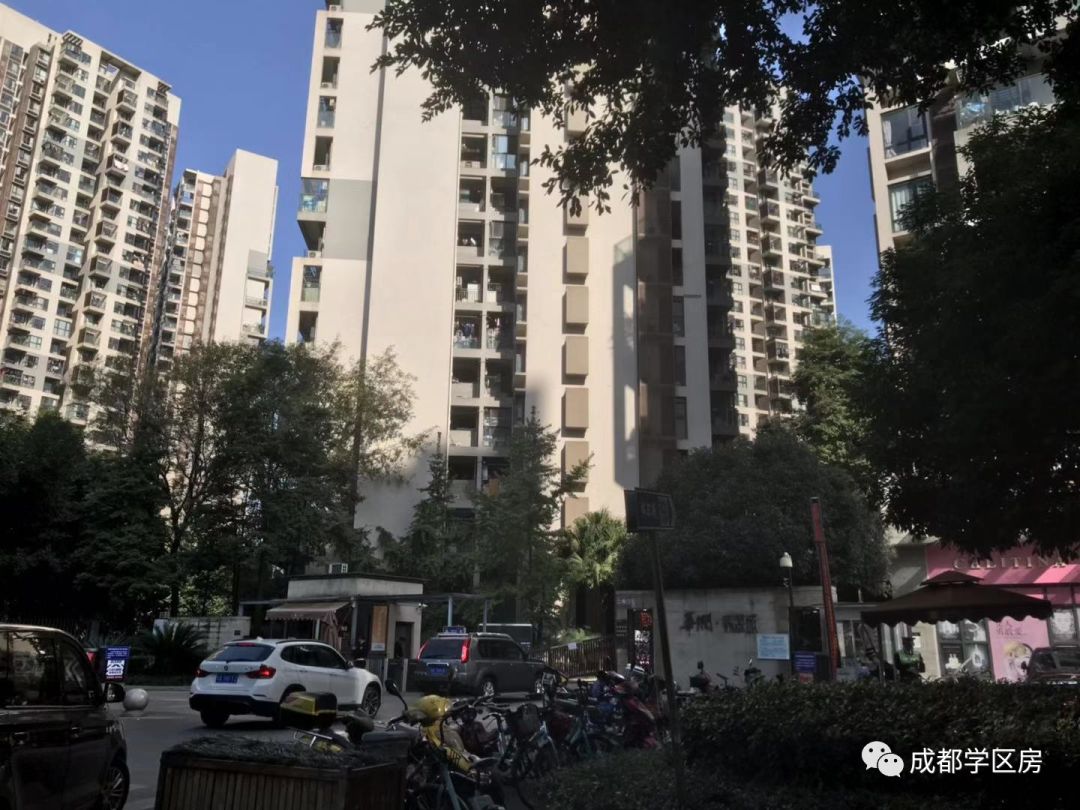 成师附小分校有哪些,成师附小哪个分校最好