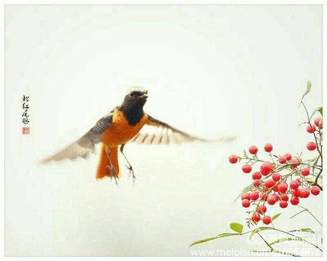 情爱禅语,佛家经典禅语