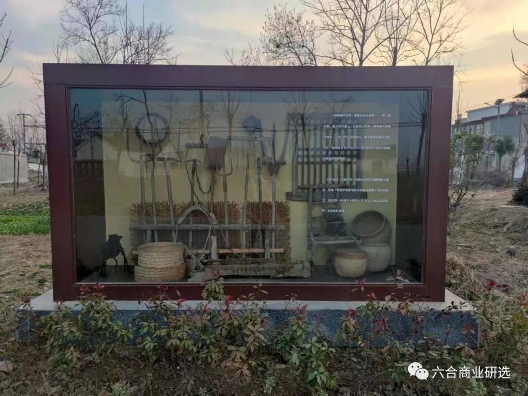 2021回乡见闻录全部视频,2023返乡见闻