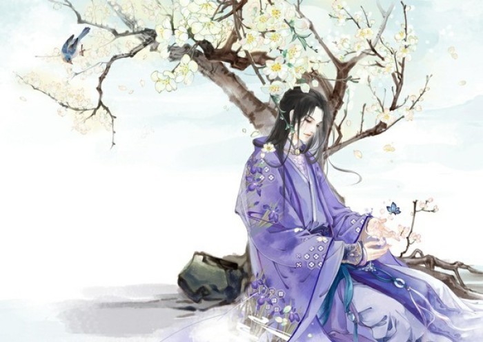 六本完结言情文推荐,高分小说推荐言情完本中篇