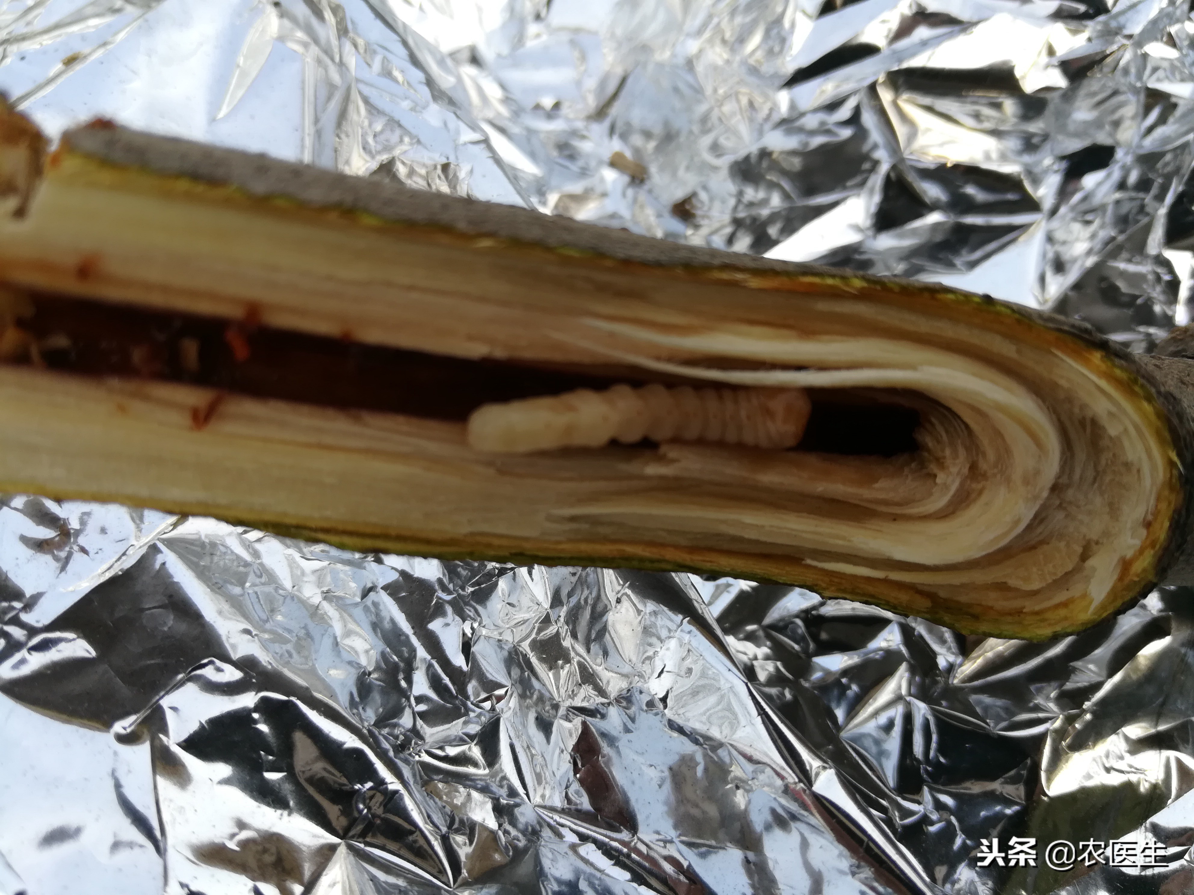 是谁在捣鬼绘本,是谁在捣鬼绘本介绍