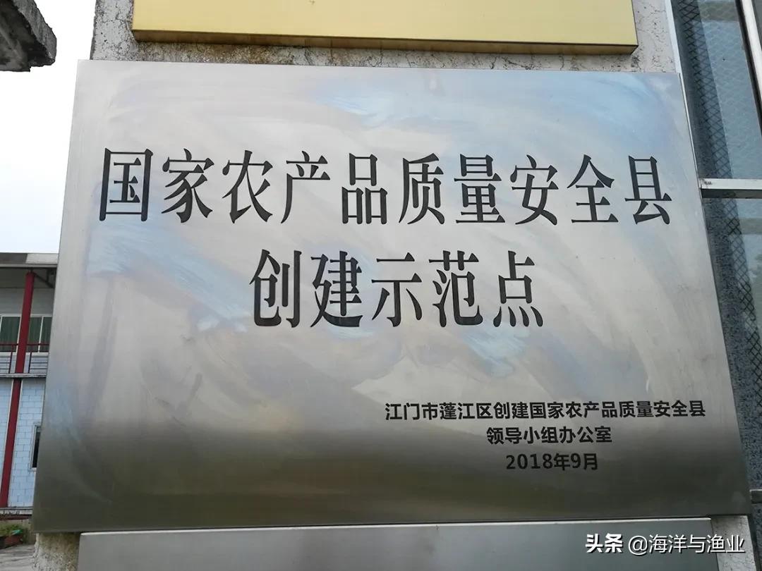 10万以上的龟,荷塘龟谷在线养龟