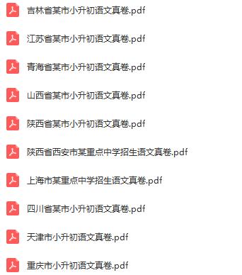 名师整理|2020年小升初语文全国名校真题卷+复习卷（附答案）