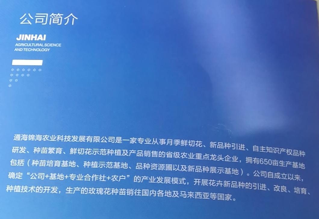 云南省通海县骄阳花卉种苗专业合作社风采（组图）