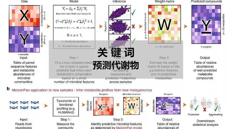 NC|预测代谢组新工具MelonnPan