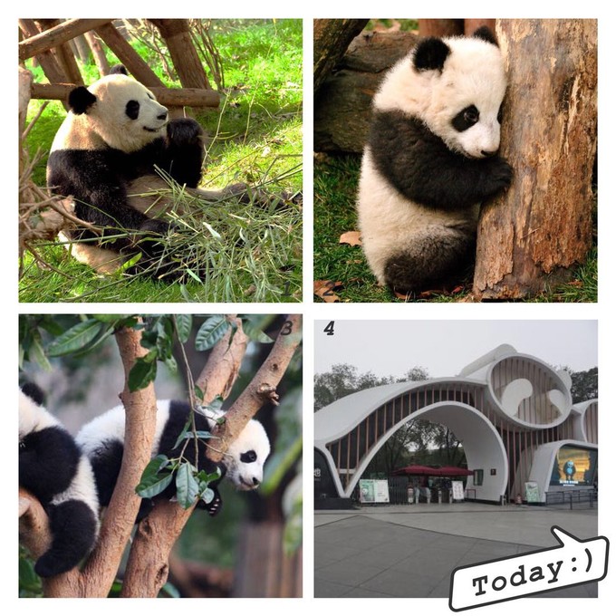 成都逛吃旅游攻略图片高清,成都逛吃攻略龙湖