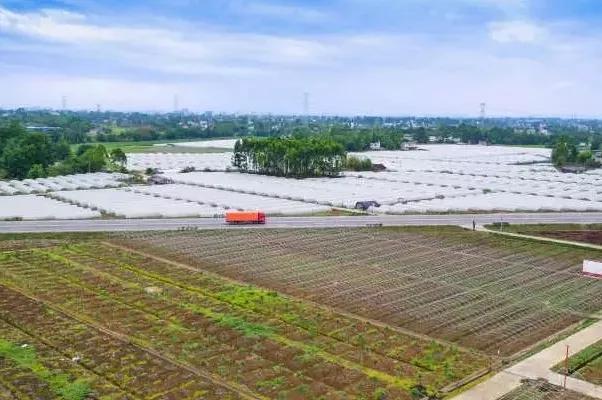 成都青白江未来5年房价图,成都市青白江区房价还会涨吗