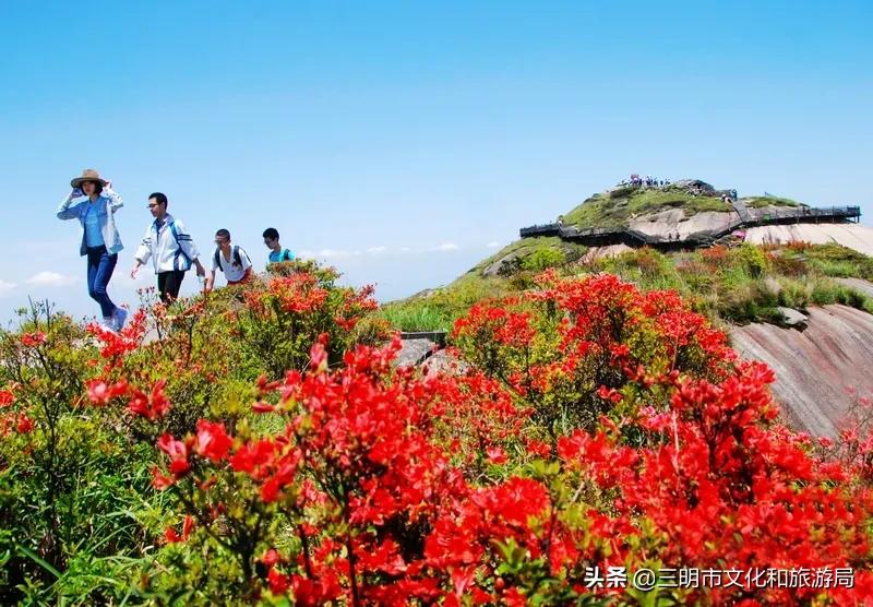 嗨！重新认识一下，我叫建宁！进来为我投票吧！