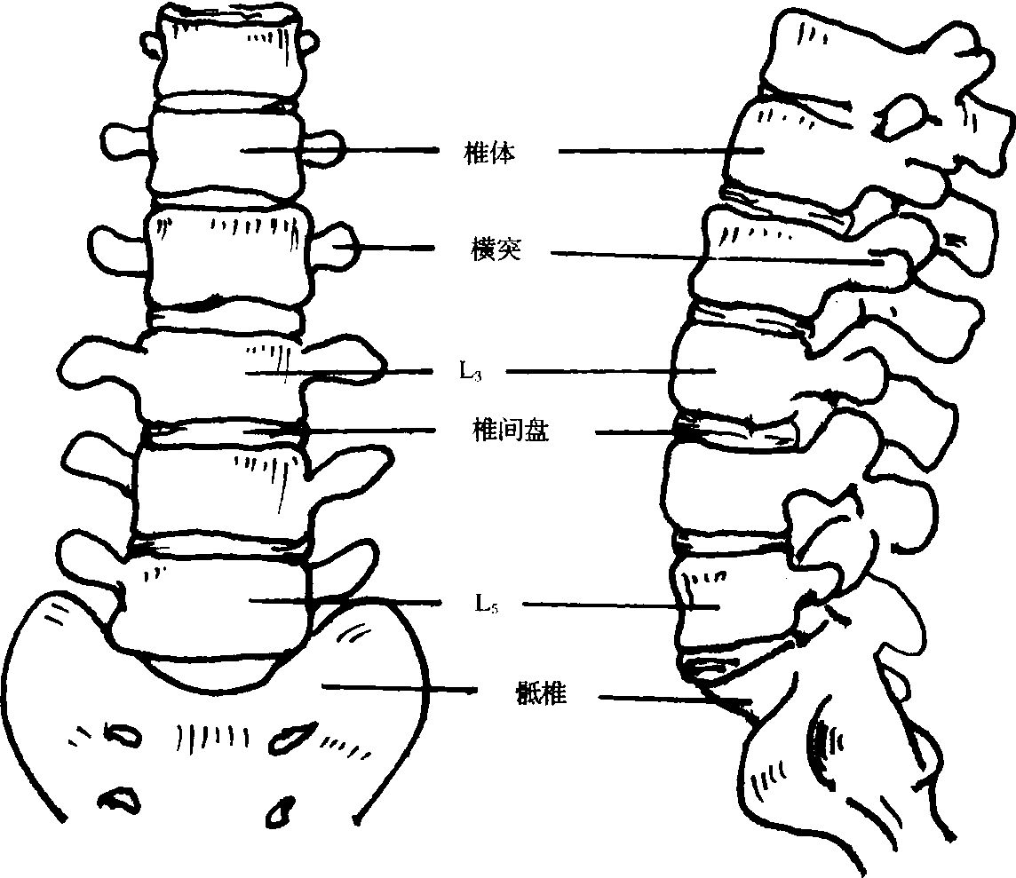 零力度腰椎正骨手法,自我治疗腰椎正骨方法