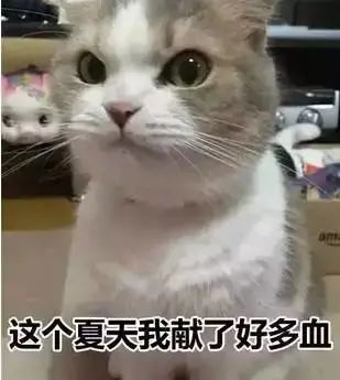 夏天驱蚊对猫有影响吗,夏天喷洒什么药杀死蚊子苍蝇
