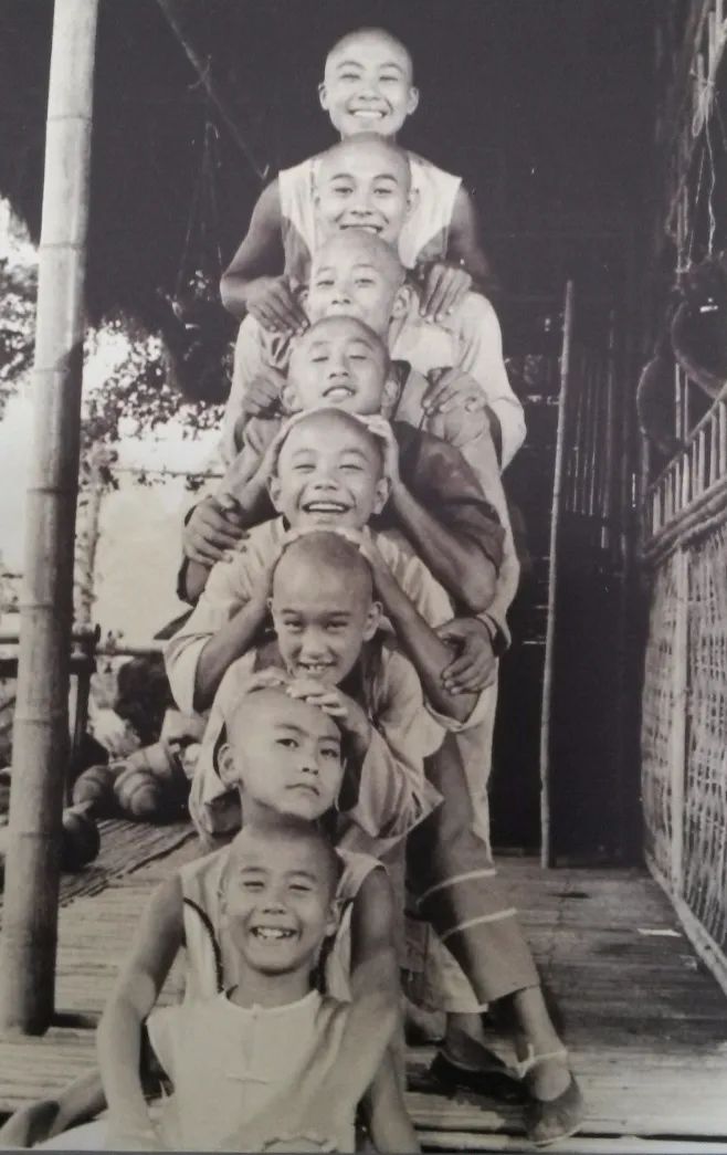 拍少林小子的演员现状,少林小子剧照33年再聚首合影