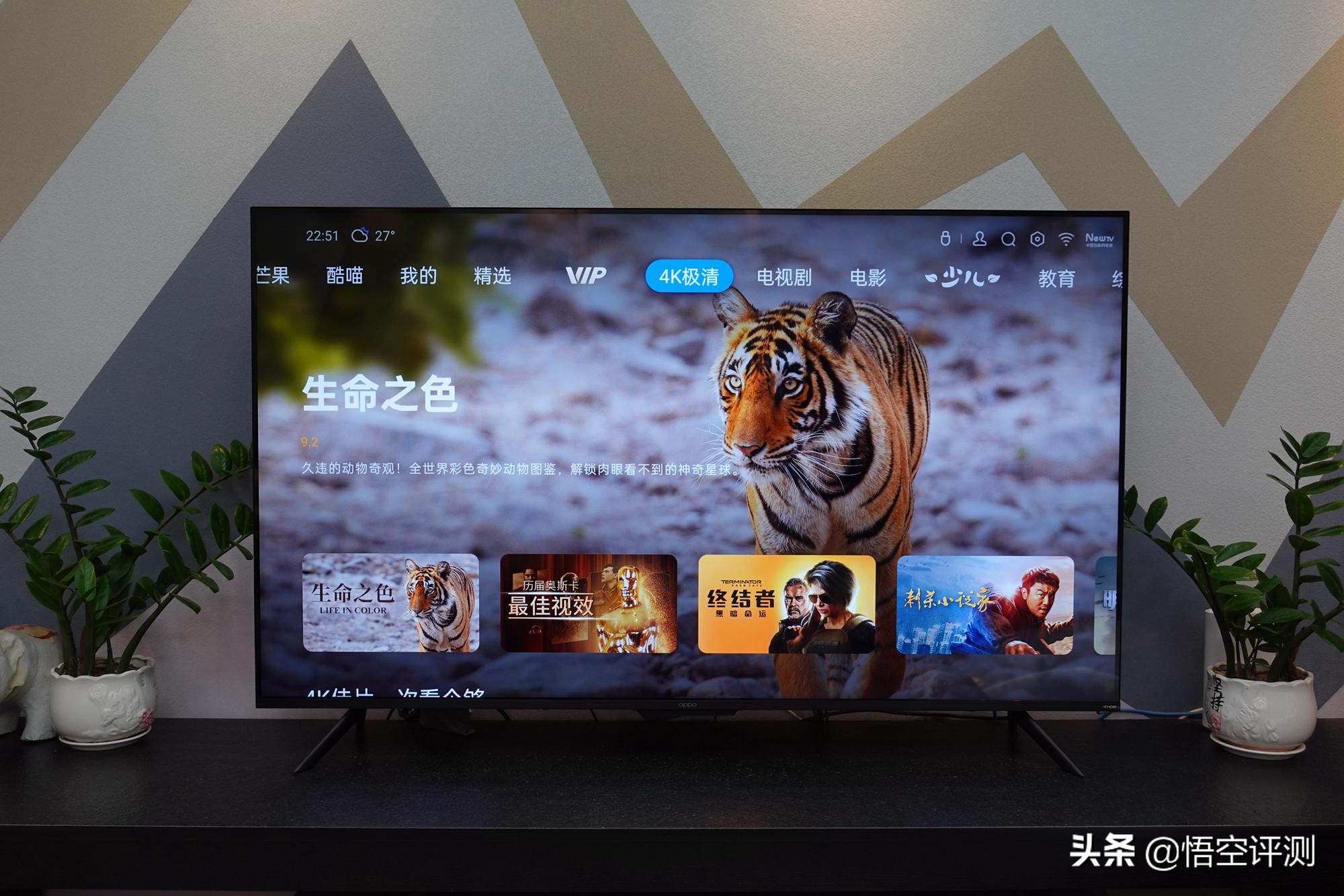 55寸千元智能电视推荐,oppok9电视55寸多少钱