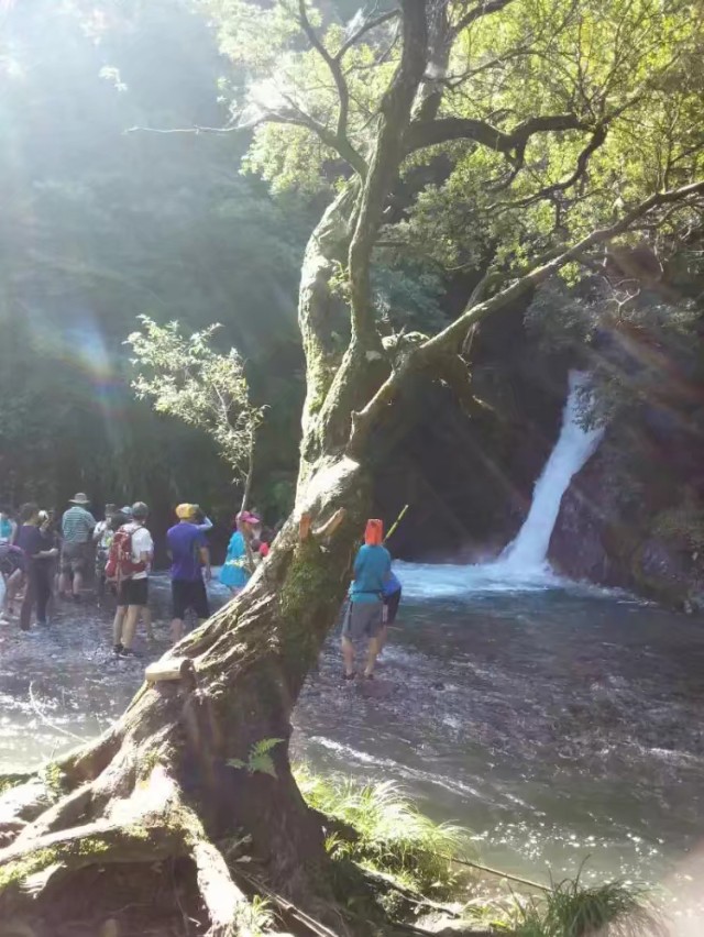 绝处逢生随笔,身处绝境励志诗句