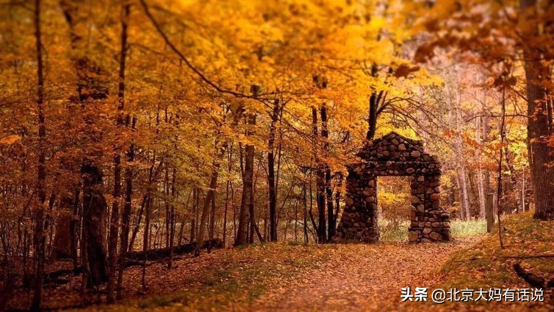 年度十佳微小说感言,十大经典微小说推荐