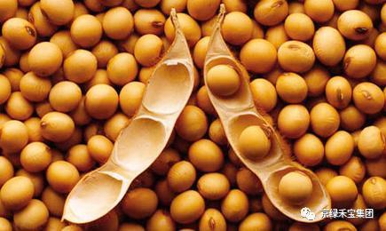 除草剂最佳解除药害时间,棉花除草剂残留药害了怎么补救