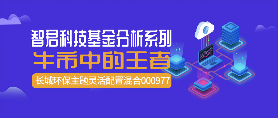 稳健与进取的双优生–华宝宝康消费品混合,240001