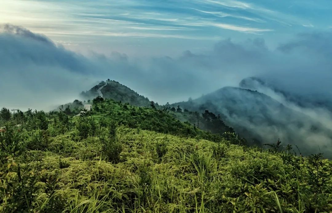 世界上最惊艳的咖啡,被称为小欧洲