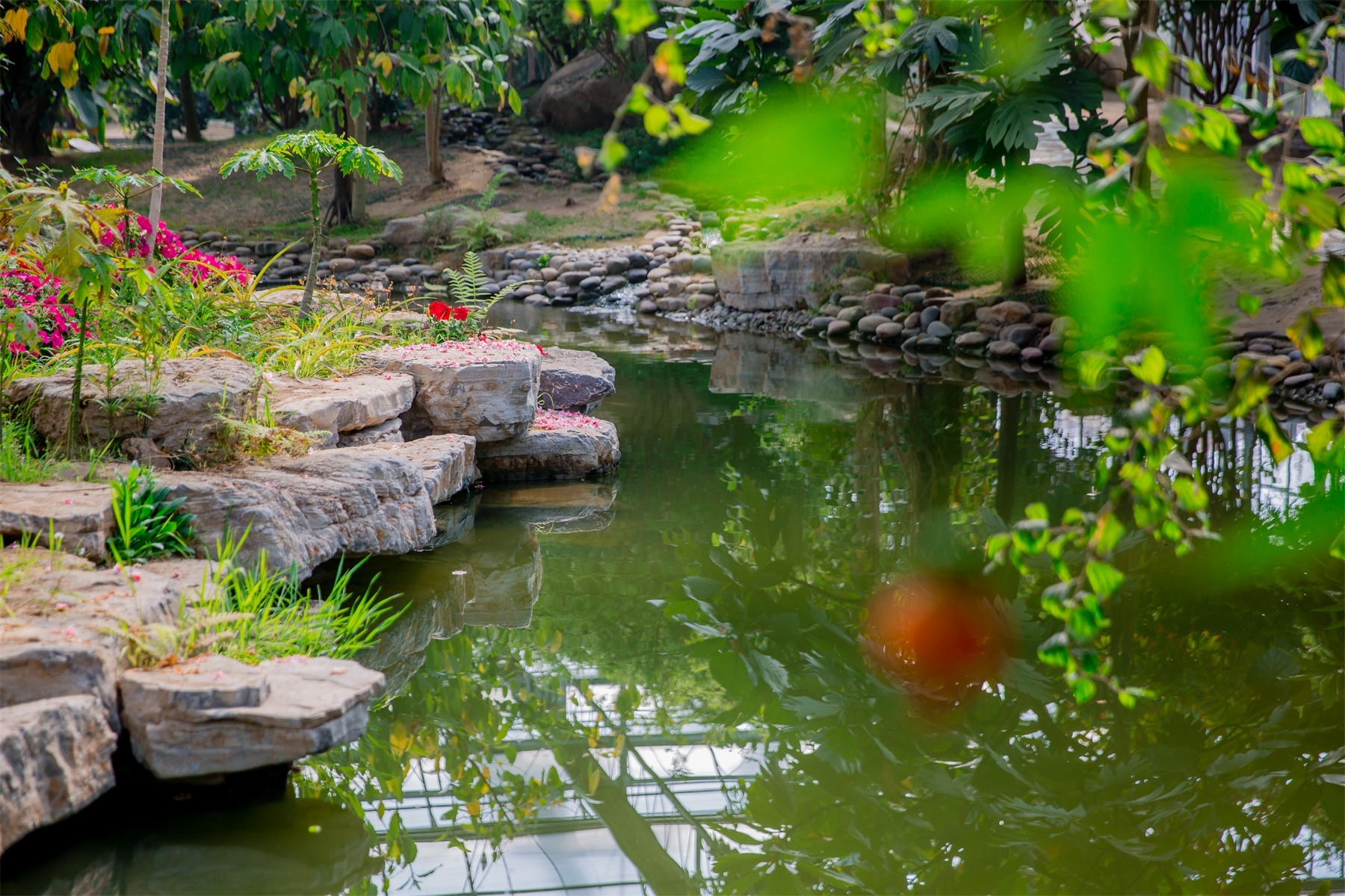 南通绿博园室内,南通绿博园风景