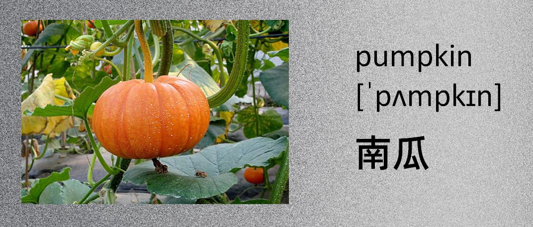 蔬菜的英文单词大全,蔬菜名称英文100个常用的