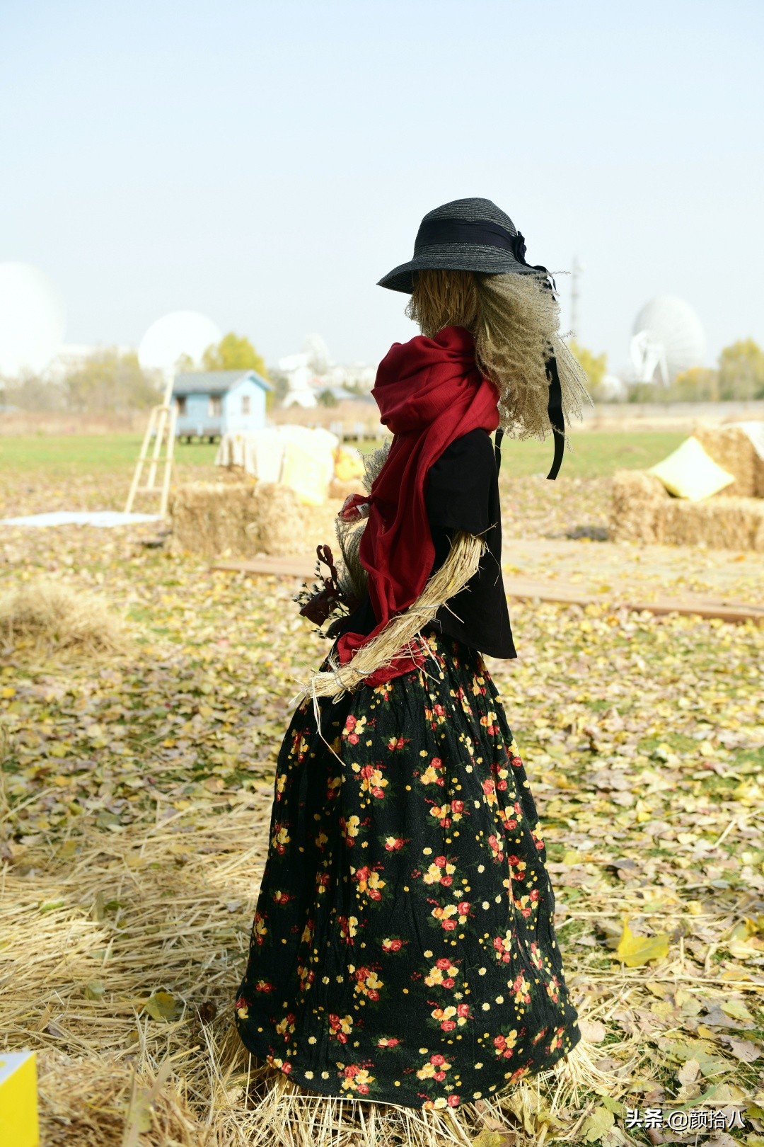 没有比利时花园游，来点比利时啤酒吧|随笔