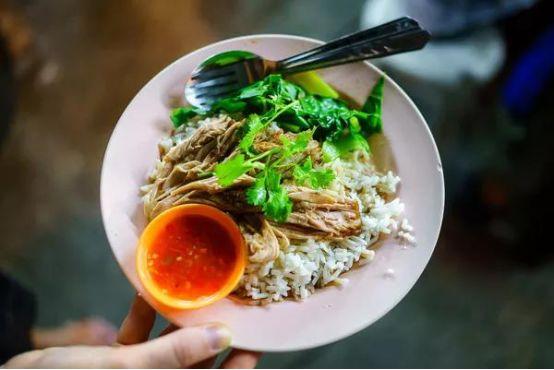 清迈大象义工,清迈大象救助营