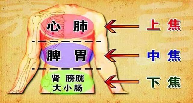 通过痛的位置（肚子、小腹、腰部），来给自己看病